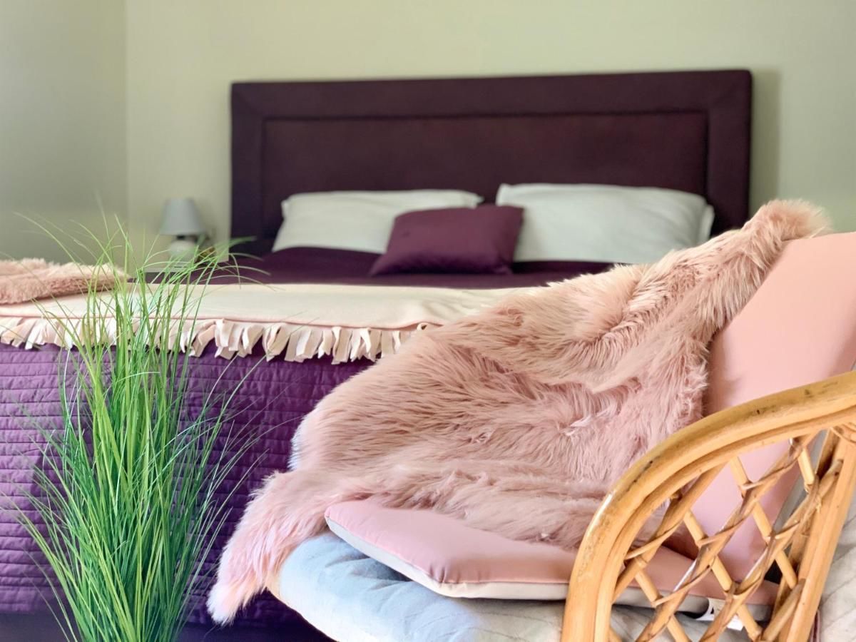 Отель Zvjezdana dolina Garni hotel Андриевица-13