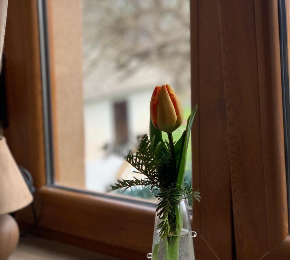 Отель Zvjezdana dolina Garni hotel Андриевица-19
