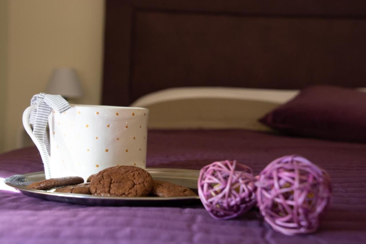Отель Zvjezdana dolina Garni hotel Андриевица-36