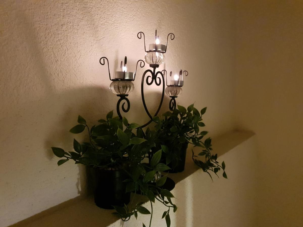 Отель Zvjezdana dolina Garni hotel Андриевица-39