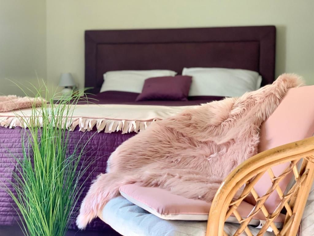 Отель Zvjezdana dolina Garni hotel Андриевица-57