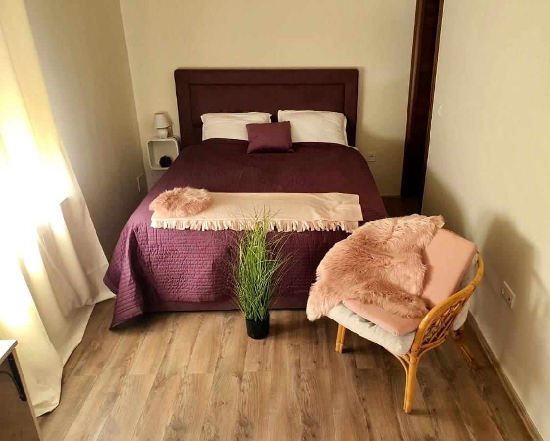 Отель Zvjezdana dolina Garni hotel Андриевица-10