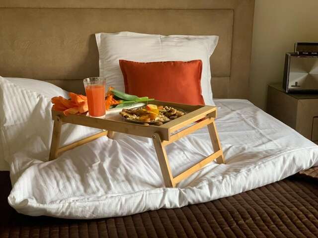 Отель Zvjezdana dolina Garni hotel Андриевица-20